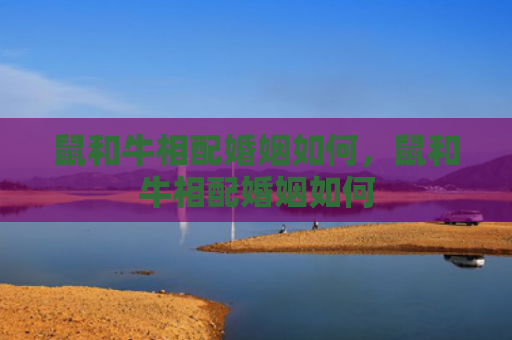 鼠和牛相配婚姻如何，鼠和牛相配婚姻如何