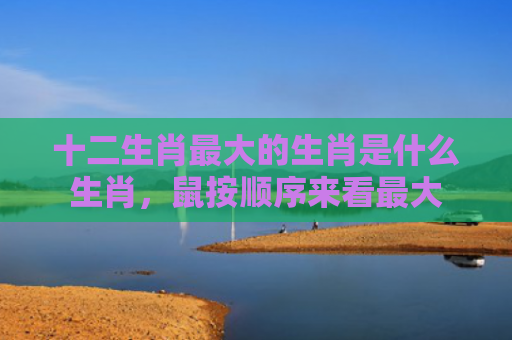 十二生肖最大的生肖是什么生肖，鼠按顺序来看最大