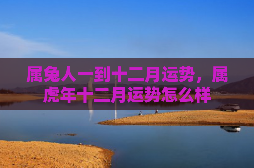属兔人一到十二月运势，属虎年十二月运势怎么样