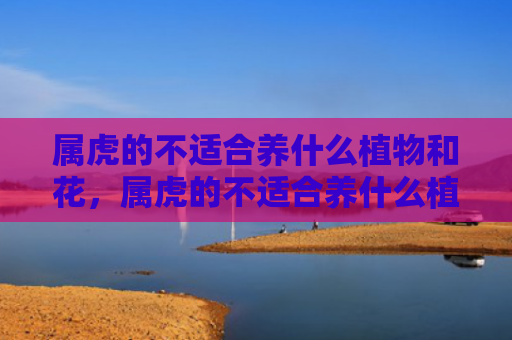 属虎的不适合养什么植物和花，属虎的不适合养什么植物