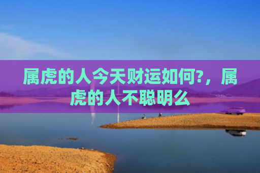 属虎的人今天财运如何?，属虎的人不聪明么