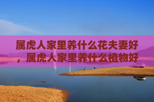属虎人家里养什么花夫妻好，属虎人家里养什么植物好呢