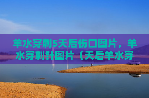 羊水穿刺5天后伤口图片，羊水穿刺针图片（天后羊水穿刺）