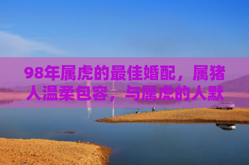 98年属虎的最佳婚配，属猪人温柔包容，与属虎的人默契相合