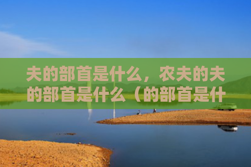 夫的部首是什么，农夫的夫的部首是什么（的部首是什么农夫）