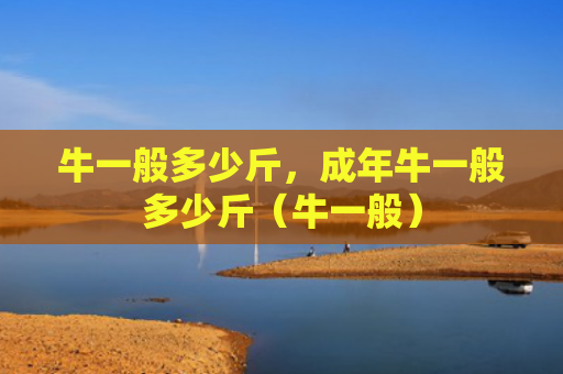 牛一般多少斤，成年牛一般多少斤（牛一般）