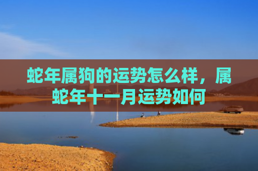 蛇年属狗的运势怎么样，属蛇年十一月运势如何