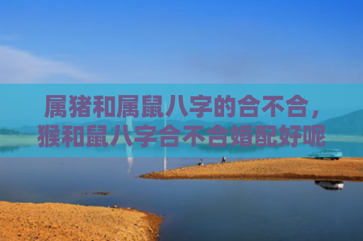 属猪和属鼠八字的合不合，猴和鼠八字合不合婚配好呢女生