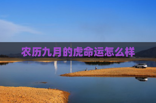 农历九月的虎命运怎么样
