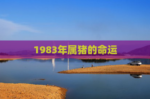 1983年属猪的命运