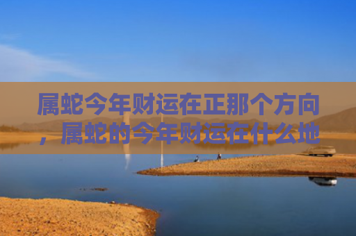 属蛇今年财运在正那个方向，属蛇的今年财运在什么地方