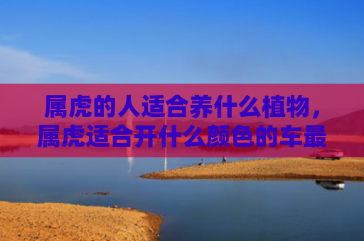 属虎的人适合养什么植物，属虎适合开什么颜色的车最好
