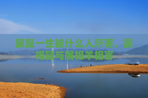 属鼠一生被什么人所害，属相鼠与属相羊相害