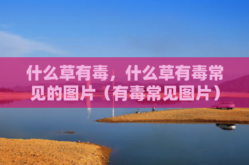 什么草有毒，什么草有毒常见的图片（有毒常见图片）