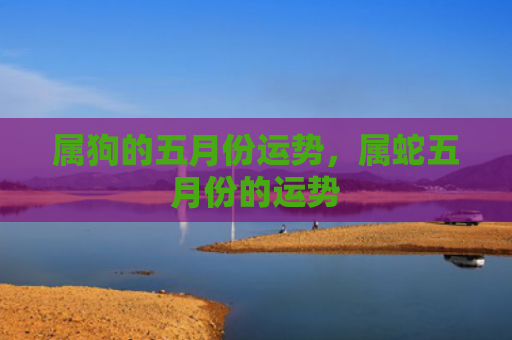 属狗的五月份运势，属蛇五月份的运势