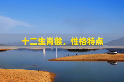 十二生肖猴，性格特点