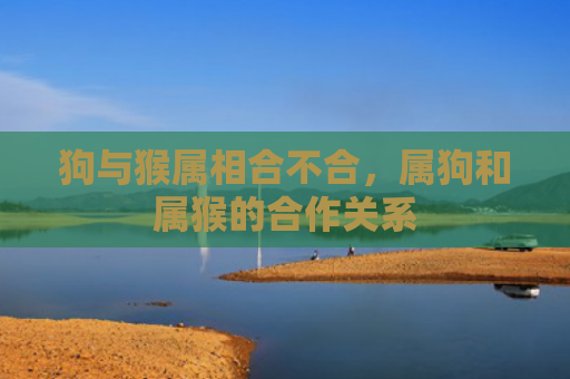 狗与猴属相合不合，属狗和属猴的合作关系