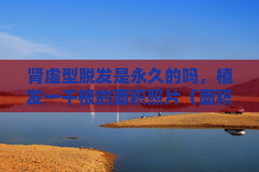 肾虚型脱发是永久的吗，植发一千根的面积照片（面积肾虚永久）