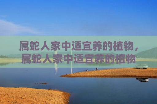 属蛇人家中适宜养的植物，属蛇人家中适宜养的植物
