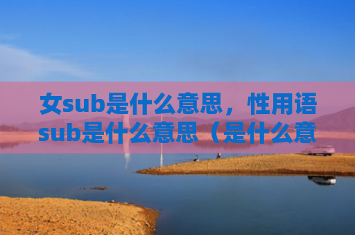 女sub是什么意思，性用语sub是什么意思（是什么意思用语）