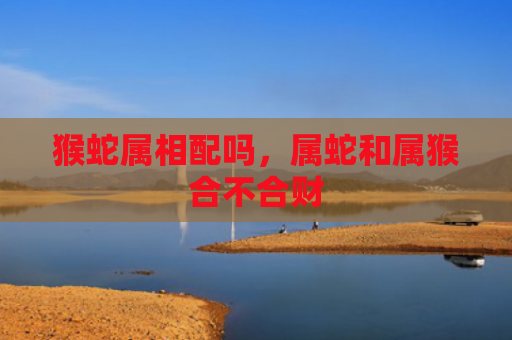 猴蛇属相配吗，属蛇和属猴合不合财