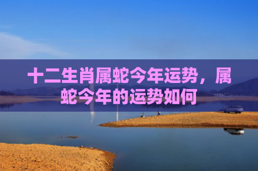 十二生肖属蛇今年运势，属蛇今年的运势如何