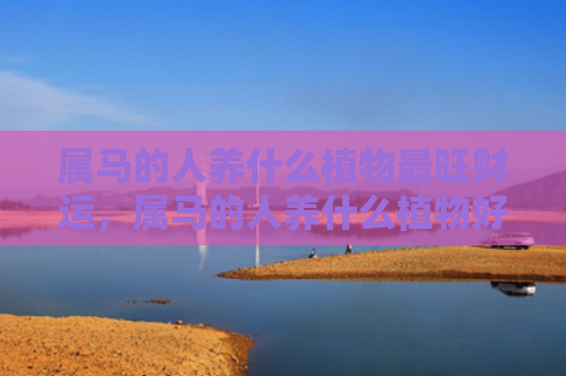 属马的人养什么植物最旺财运，属马的人养什么植物好