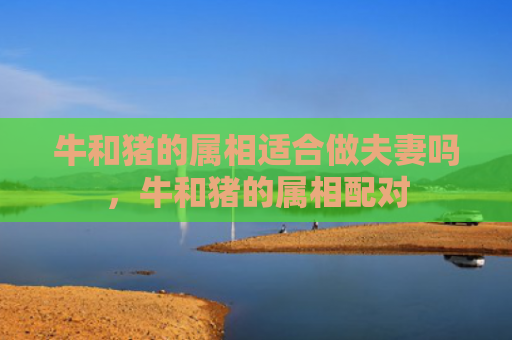 牛和猪的属相适合做夫妻吗，牛和猪的属相配对