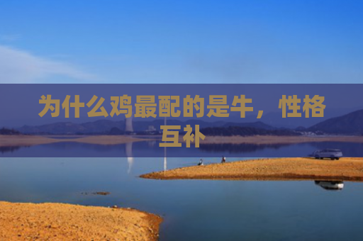 为什么鸡最配的是牛，性格互补