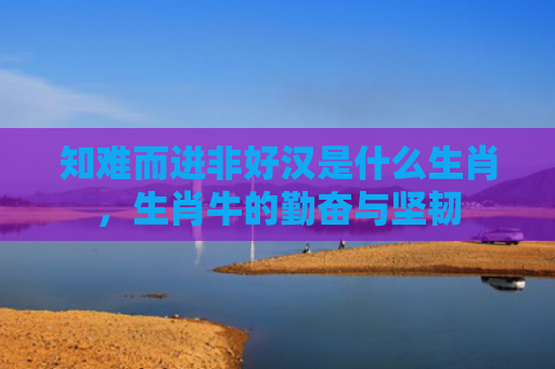 知难而进非好汉是什么生肖，生肖牛的勤奋与坚韧