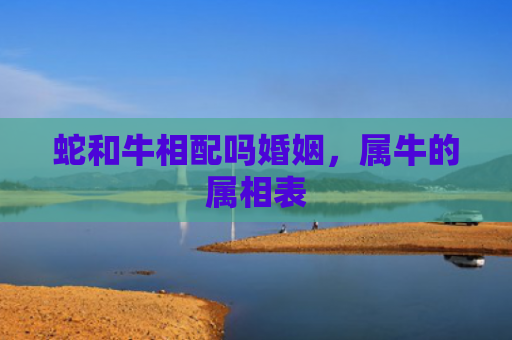 蛇和牛相配吗婚姻，属牛的属相表