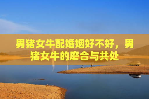 男猪女牛配婚姻好不好，男猪女牛的磨合与共处