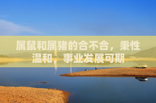 属鼠和属猪的合不合，秉性温和，事业发展可期