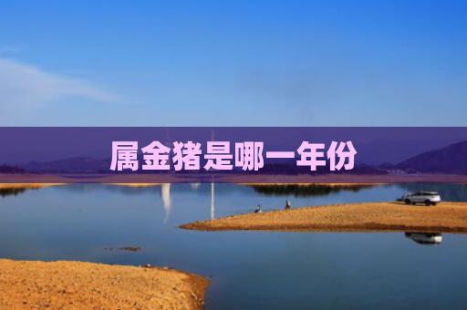 属金猪是哪一年份