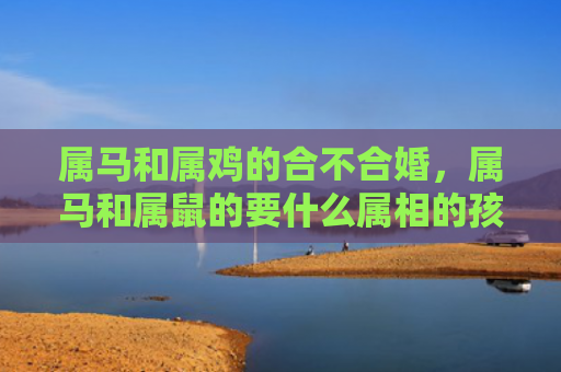 属马和属鸡的合不合婚，属马和属鼠的要什么属相的孩子