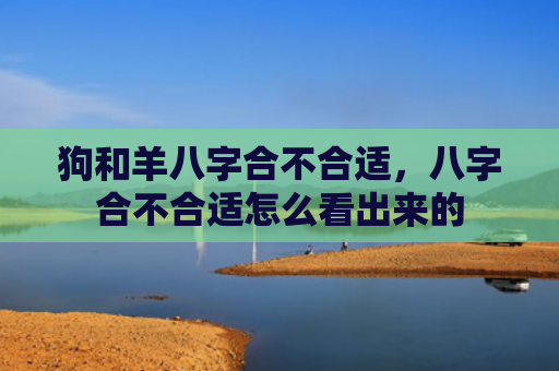 狗和羊八字合不合适，八字合不合适怎么看出来的