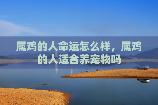 属鸡的人命运怎么样，属鸡的人适合养宠物吗