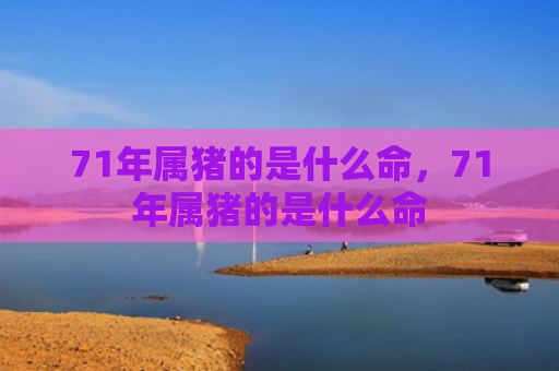 71年属猪的是什么命，71年属猪的是什么命