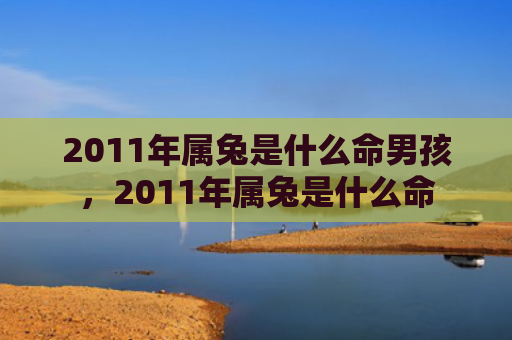 2011年属兔是什么命男孩，2011年属兔是什么命