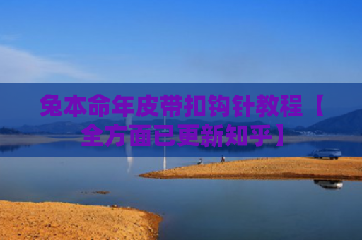 兔本命年皮带扣钩针教程【全方面已更新知乎】