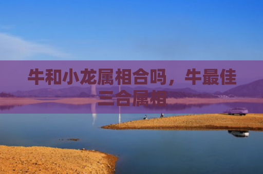 牛和小龙属相合吗，牛最佳三合属相