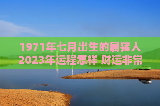 1971年七月出生的属猪人2023年运程怎样 财运非常稳定【今日更新2023】
