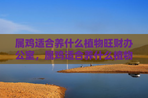 属鸡适合养什么植物旺财办公室，属鸡适合养什么植物旺事业