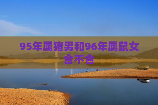 95年属猪男和96年属鼠女合不合