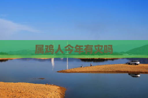 属鸡人今年有灾吗