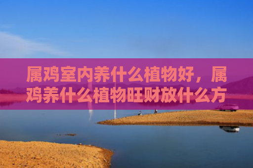 属鸡室内养什么植物好，属鸡养什么植物旺财放什么方位