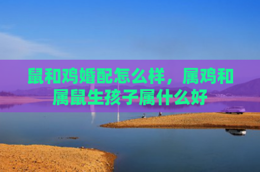 鼠和鸡婚配怎么样，属鸡和属鼠生孩子属什么好