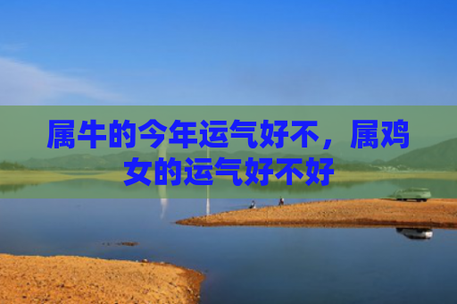 属牛的今年运气好不，属鸡女的运气好不好