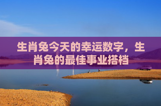 生肖兔今天的幸运数字，生肖兔的最佳事业搭档
