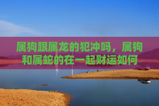 属狗跟属龙的犯冲吗，属狗和属蛇的在一起财运如何